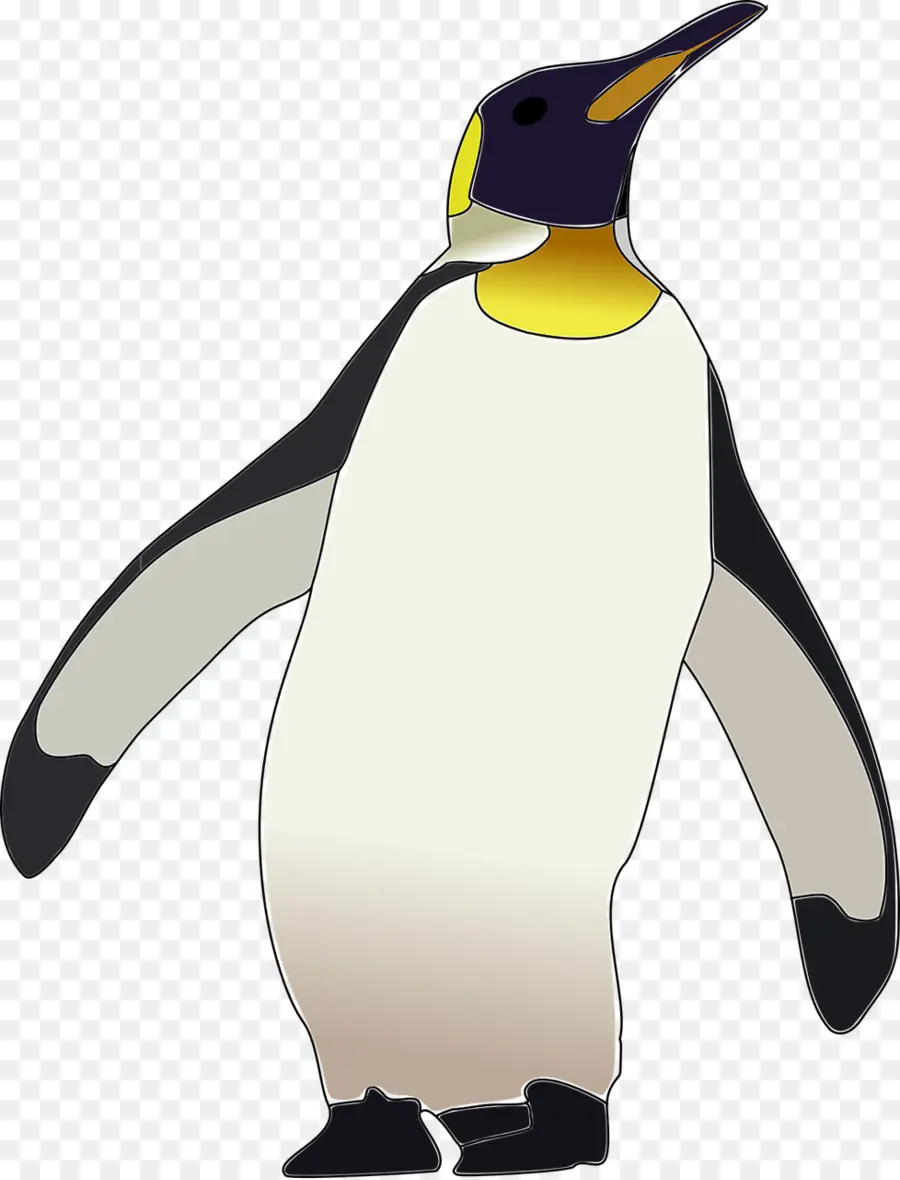 Penguin，Burung PNG