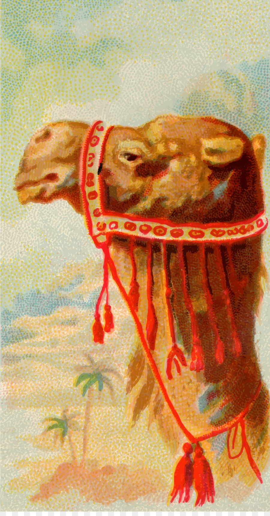 Dromedary，Fotografi Saham PNG