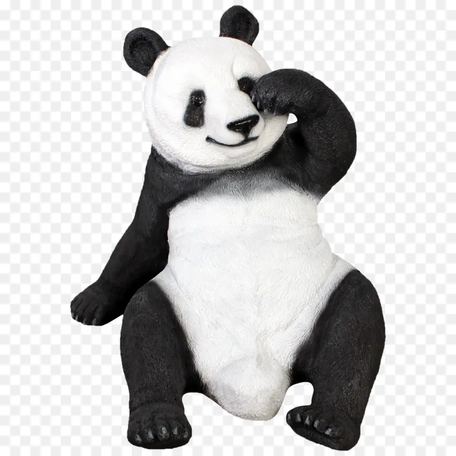 Panda，Beruang PNG