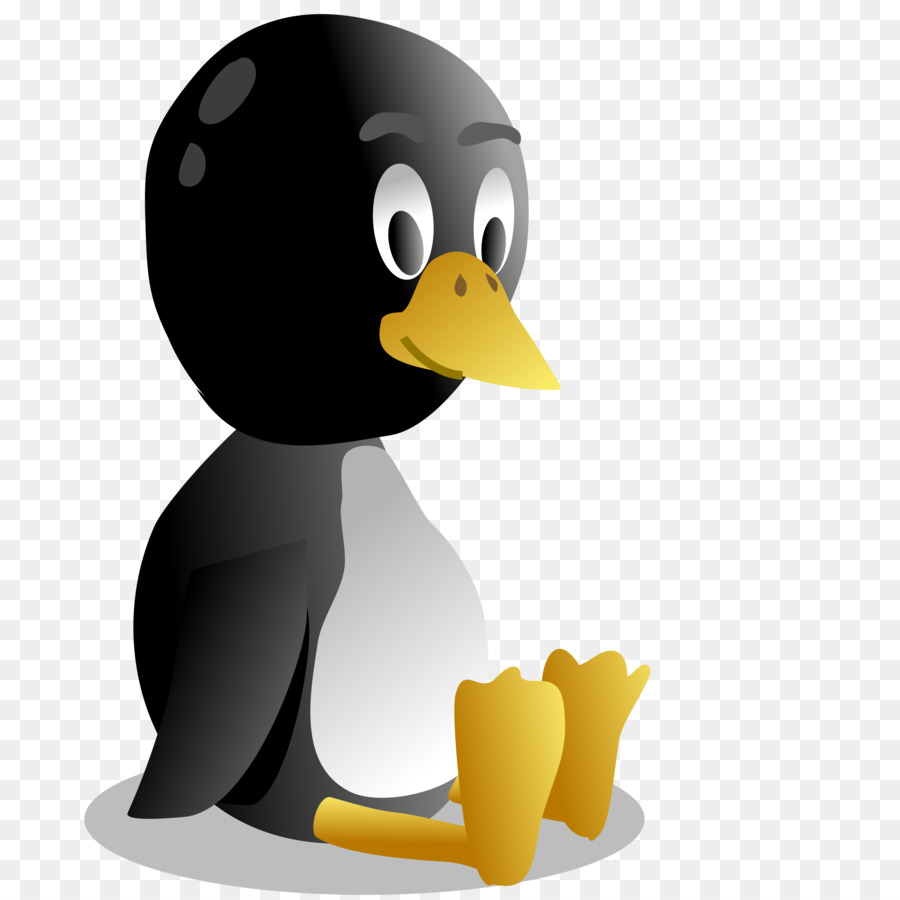 Penguin，Burung PNG