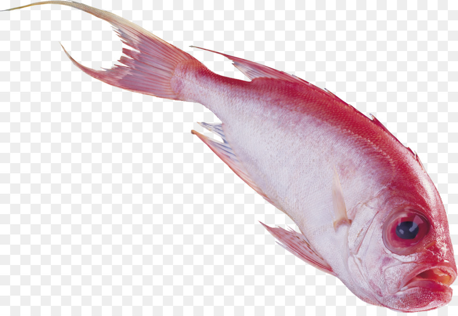 Ikan，Nemipterus Virgatus PNG