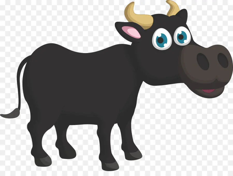 Sapi Hitam，Peternakan PNG