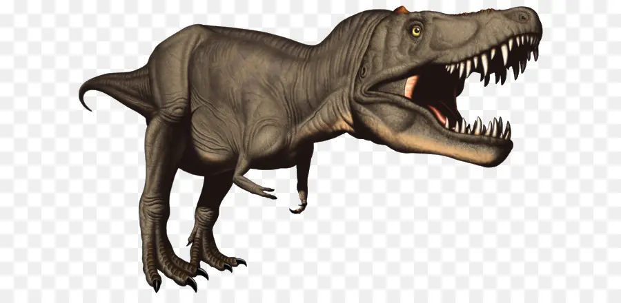 Dinosaurus，Prasejarah PNG