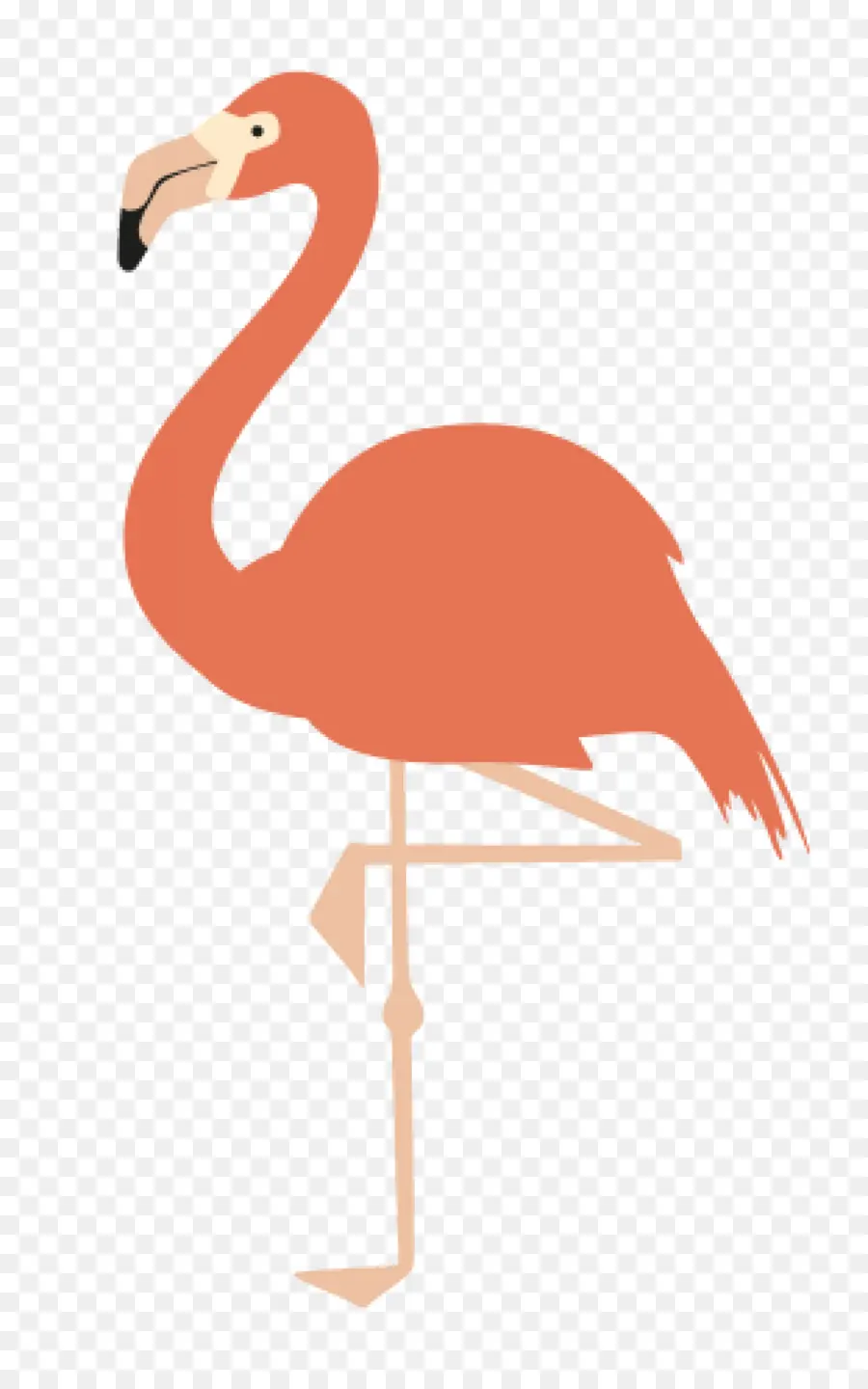 Flamingo，Amerika Flamingo PNG