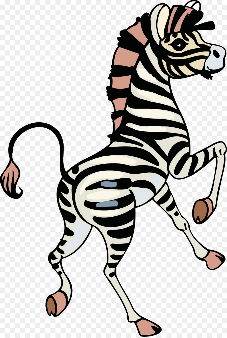 Zebra，Bergaris PNG