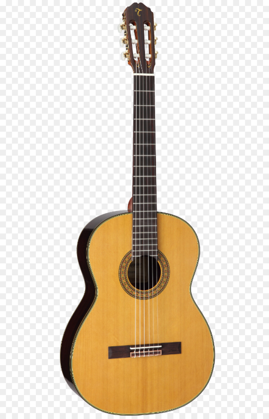 Gitar，String PNG