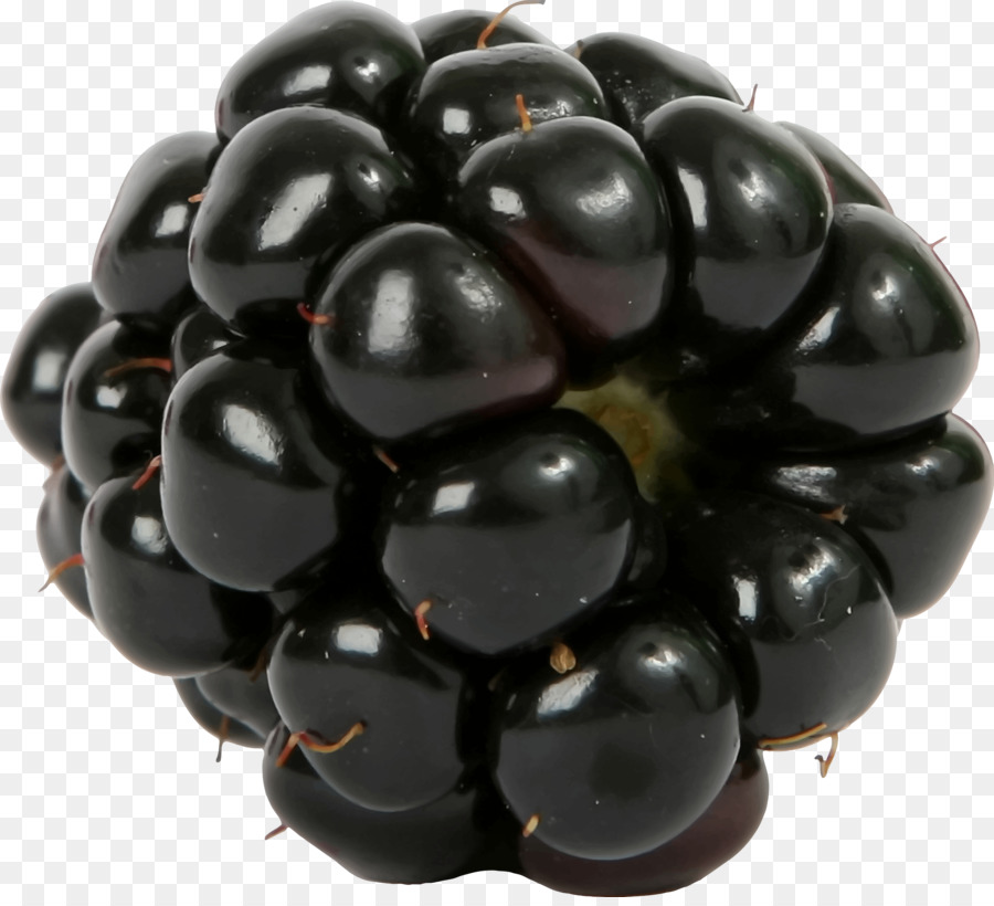 Blackberry，Beri PNG