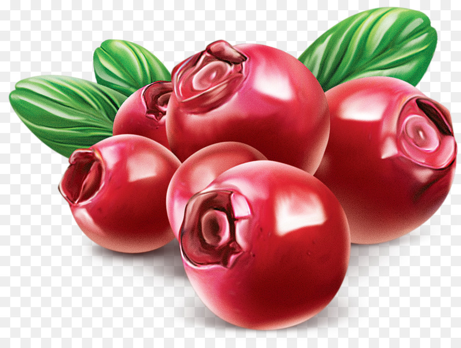 Cranberry，Buah Beri PNG