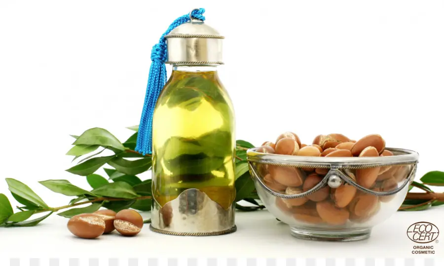 Botol Minyak Argan，Kacang Argan PNG