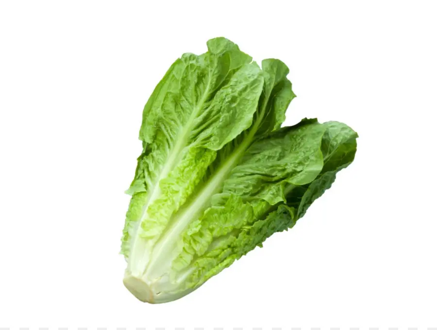 Celtuce，Makanan Organik PNG