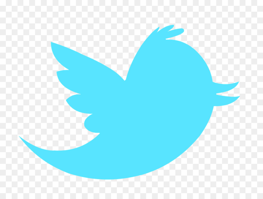 Burung Hitam，Twitter PNG