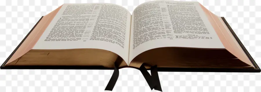 Alkitab，Studi Alkitab PNG