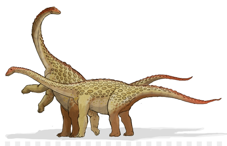Raja Dinosaurus，Saltasaurus PNG