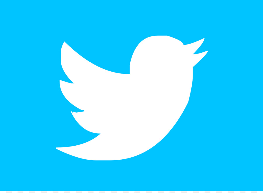 Logo Twitter，Media Sosial PNG