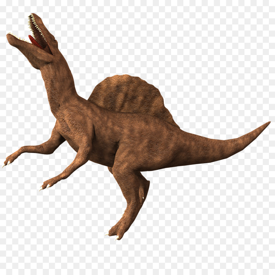 Spinosaurus，Dinosaurus PNG