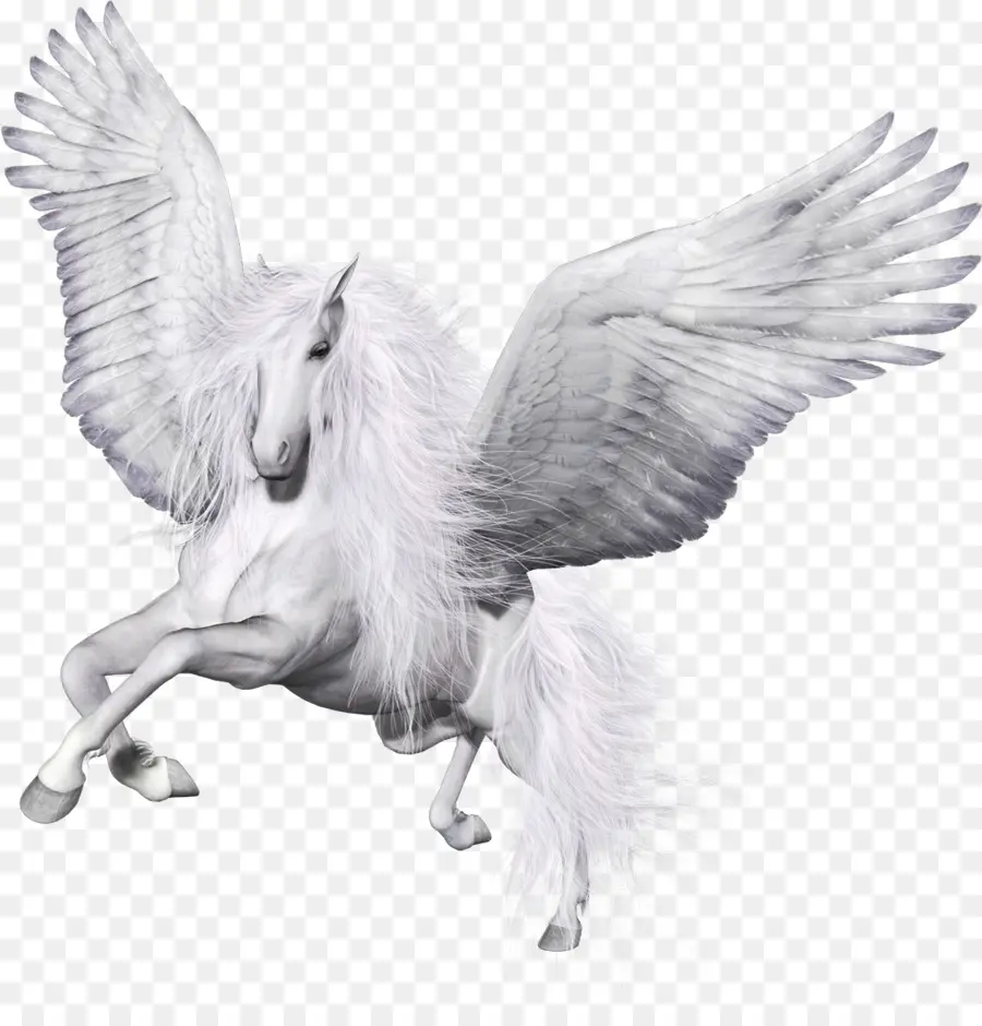 Pegasus，Sayap PNG