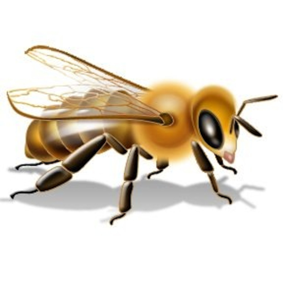 Lebah，Insektisida PNG