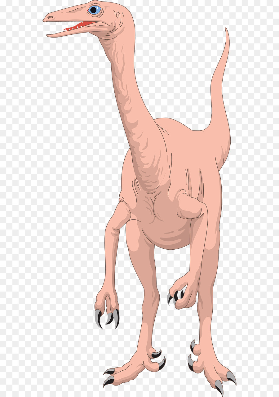 Reptil，Dinosaurus PNG