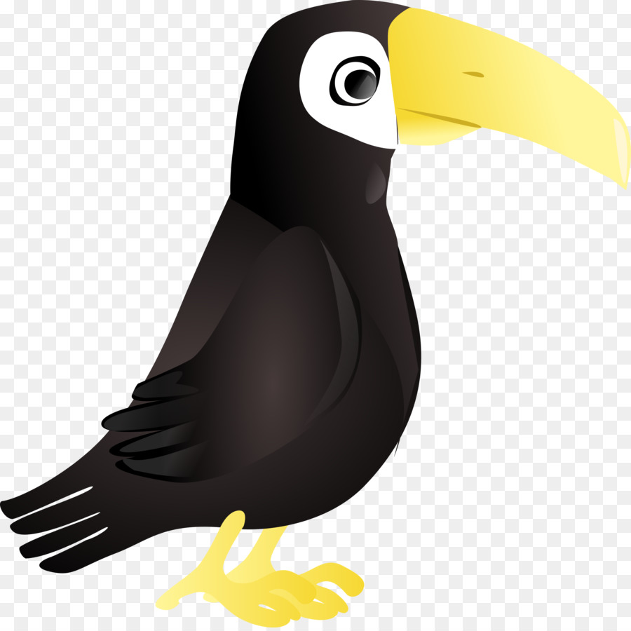 Burung Toucan，Tropis PNG