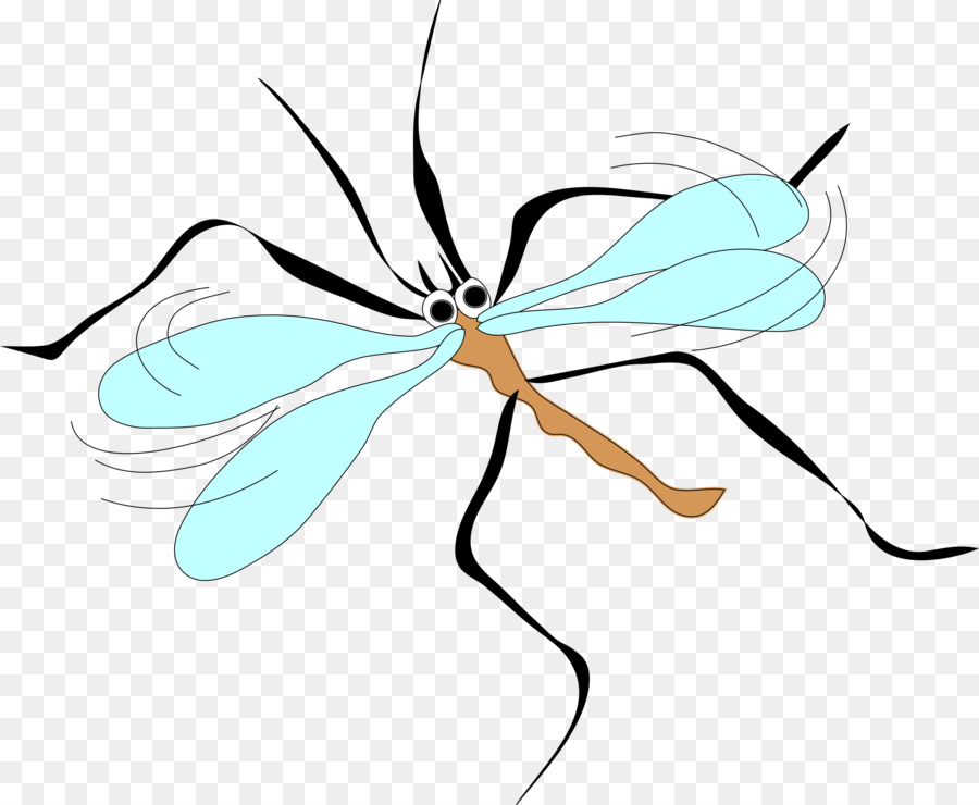 23 Gambar Nyamuk Malaria 0179