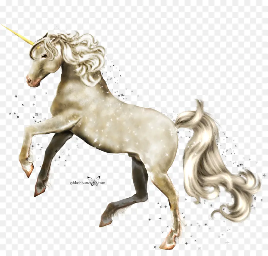 Unicorn，Mitos PNG