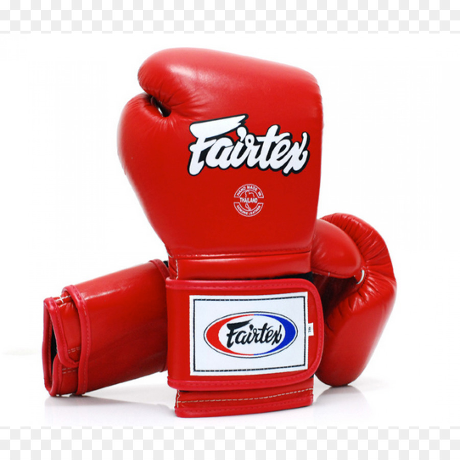 Muay Thai，Fairtex Gym PNG