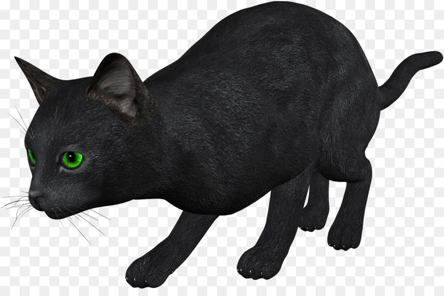 Kucing Hitam，Peliharaan PNG