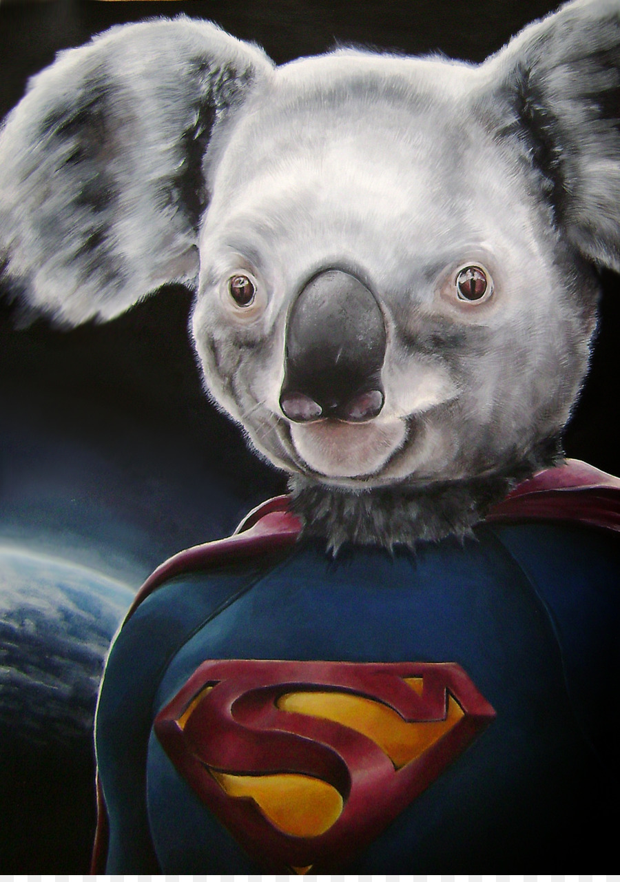 Koala，Hewan Berkantong PNG