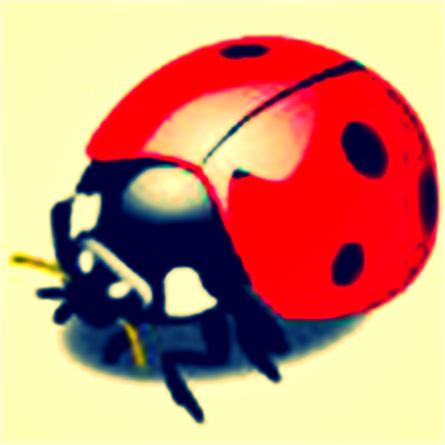 Serangga，Kumbang Kecil PNG