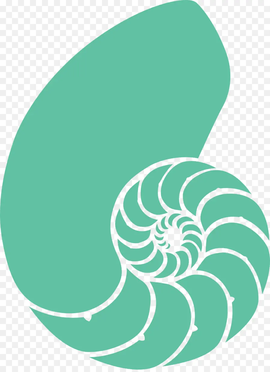 Cangkang Nautilus Berwarna Hijau，Nautilus PNG