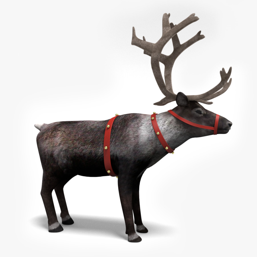 Rusa，Santa Claus PNG