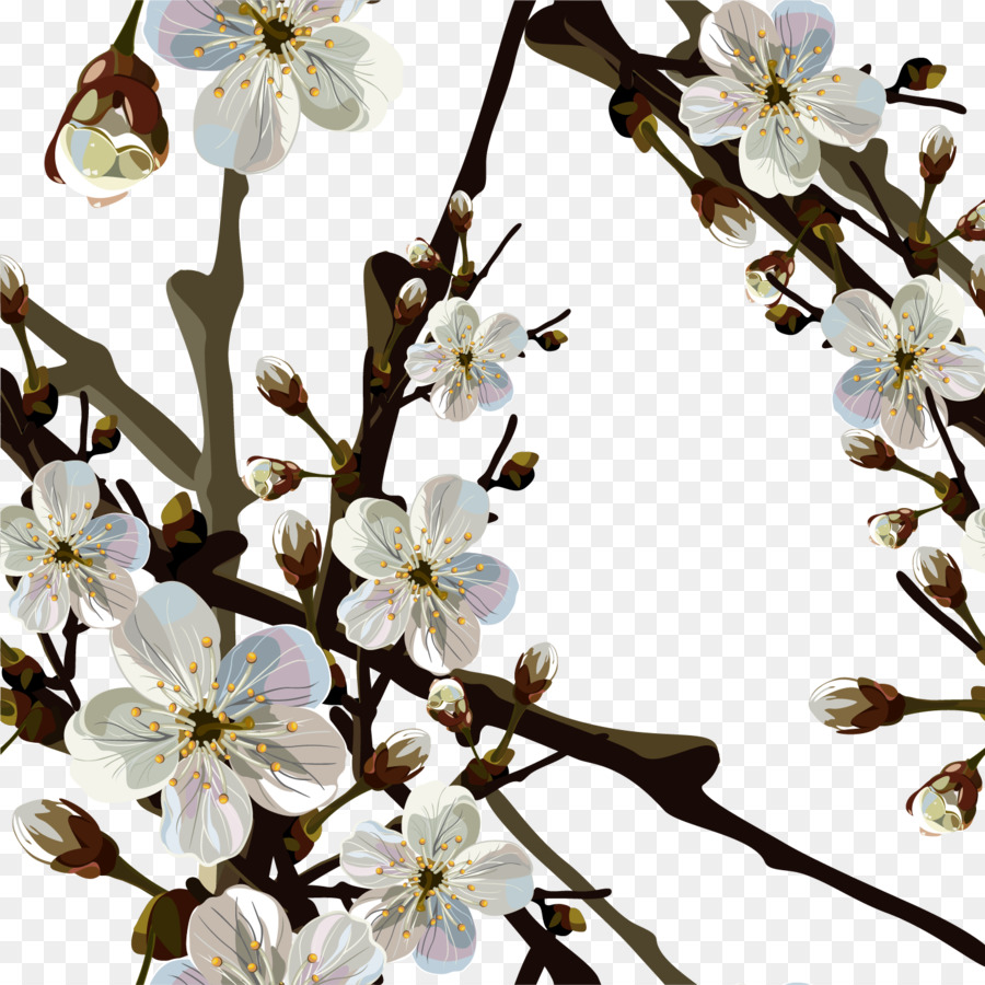 Bunga Sakura，Musim Semi PNG