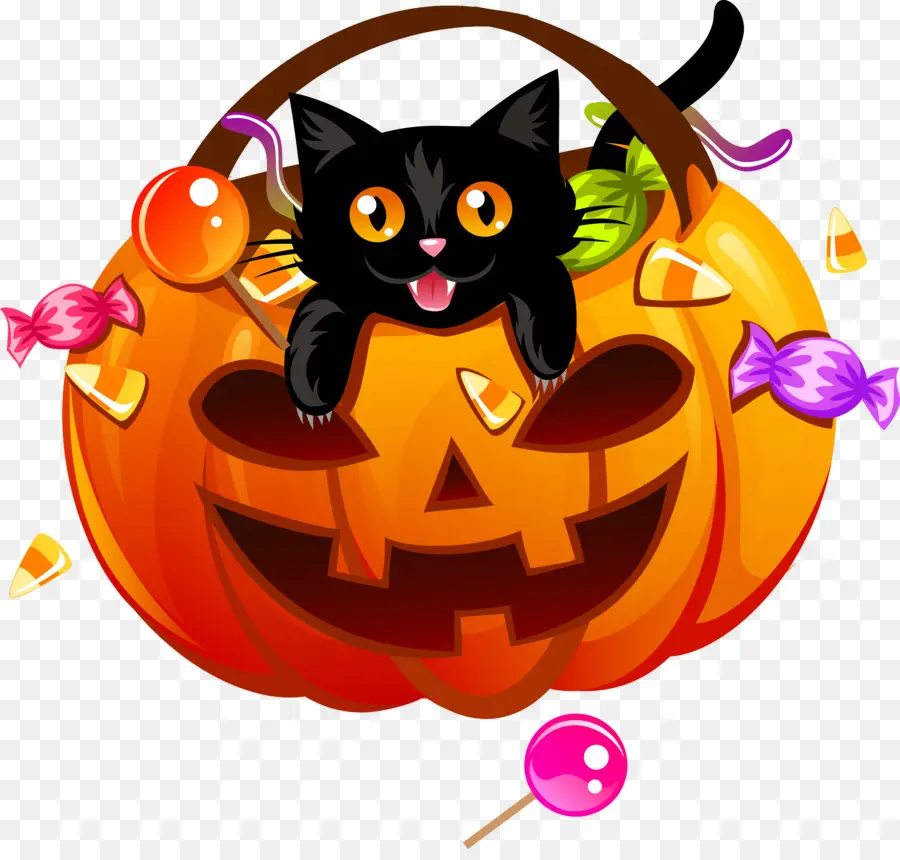 Labu Halloween，Kucing PNG