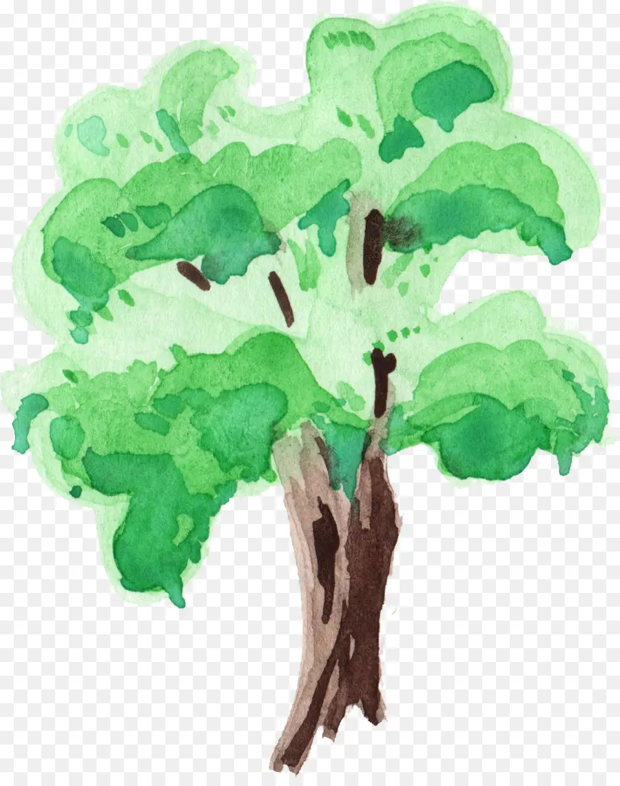 Pohon，Lukisan Cat Air PNG