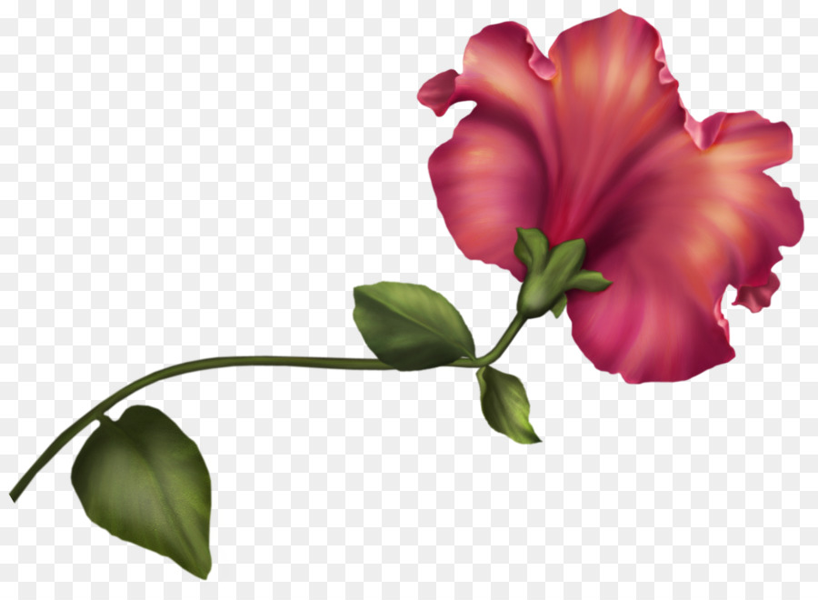 Bunga，Tulip PNG