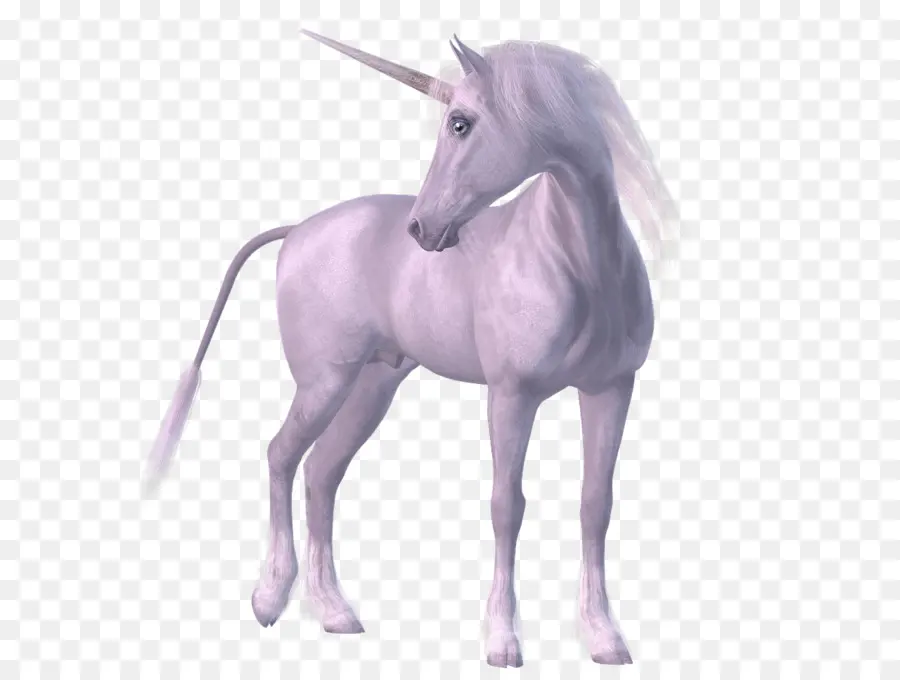 Unicorn，Klakson PNG