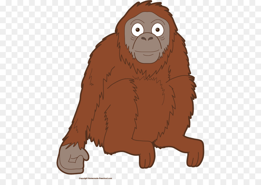 Orangutan Kalimantan Kartun 