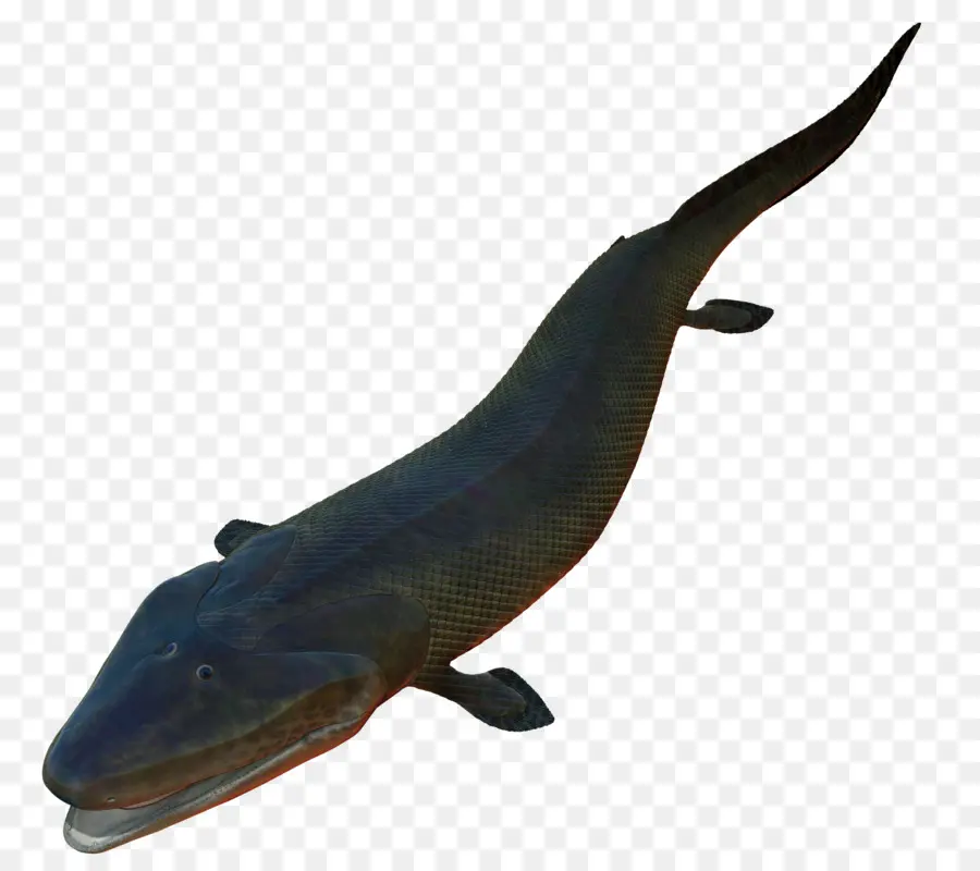 Kepunahan Devonian Yang Terlambat，Tiktaalik PNG