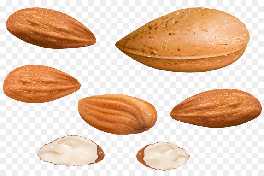 Badam，Kacang PNG