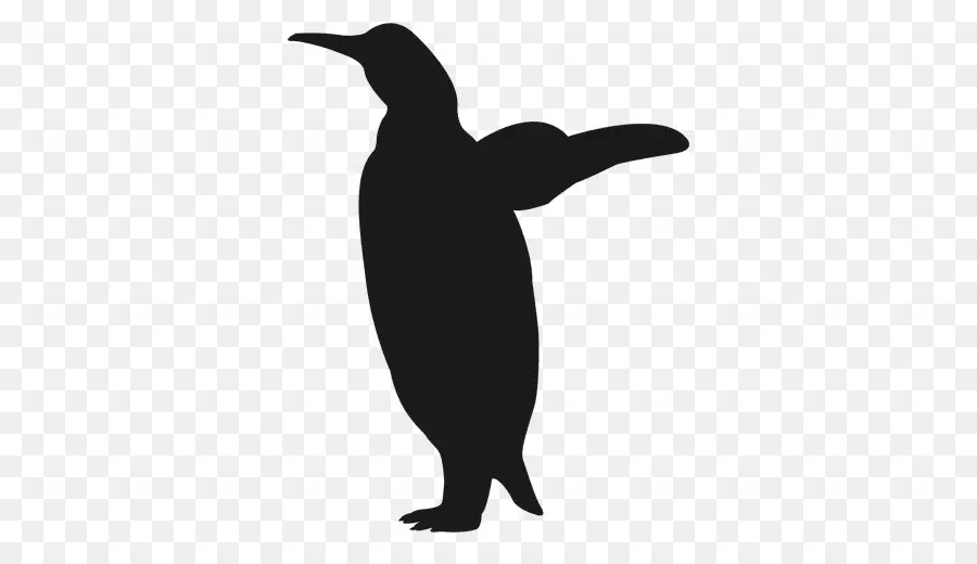 Penguin，Burung PNG