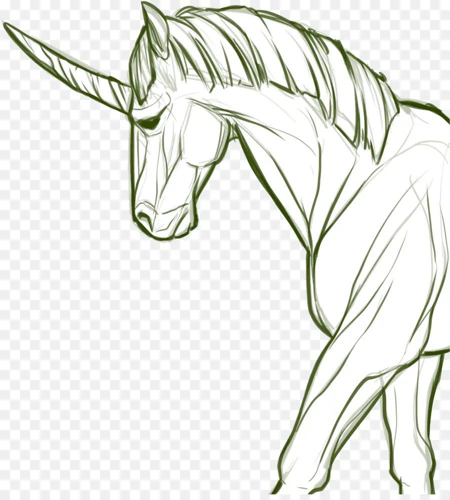 Kuda，Unicorn PNG