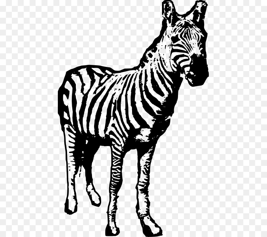 Zebra，Garis Garis PNG