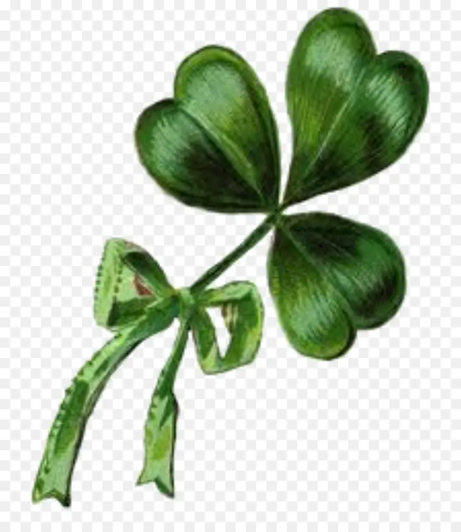 Shamrock，Hijau PNG