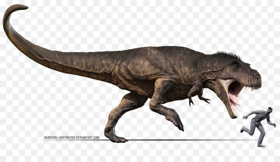 T Rex，Prasejarah PNG