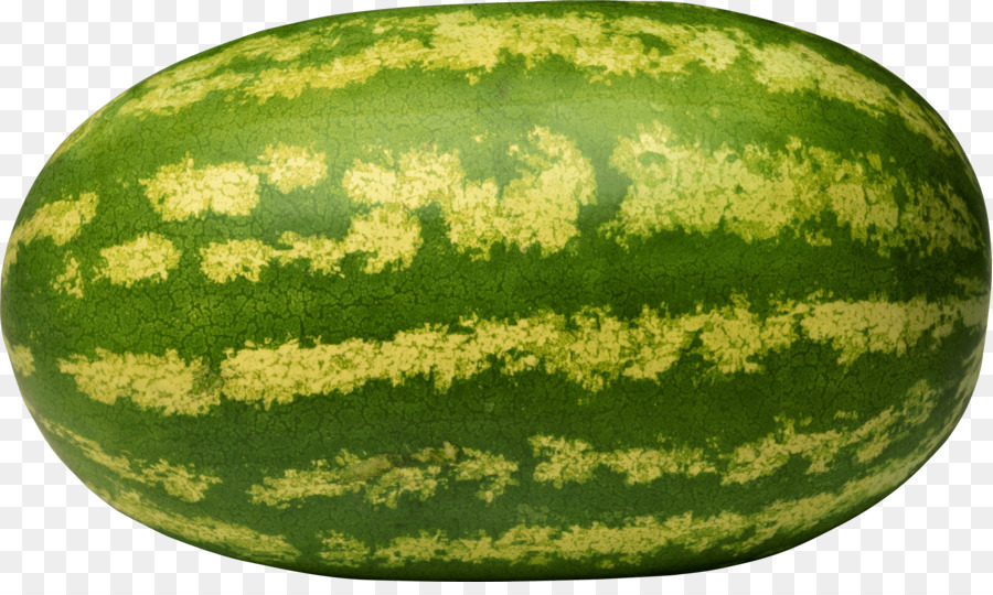 Melon Hijau，Melon PNG