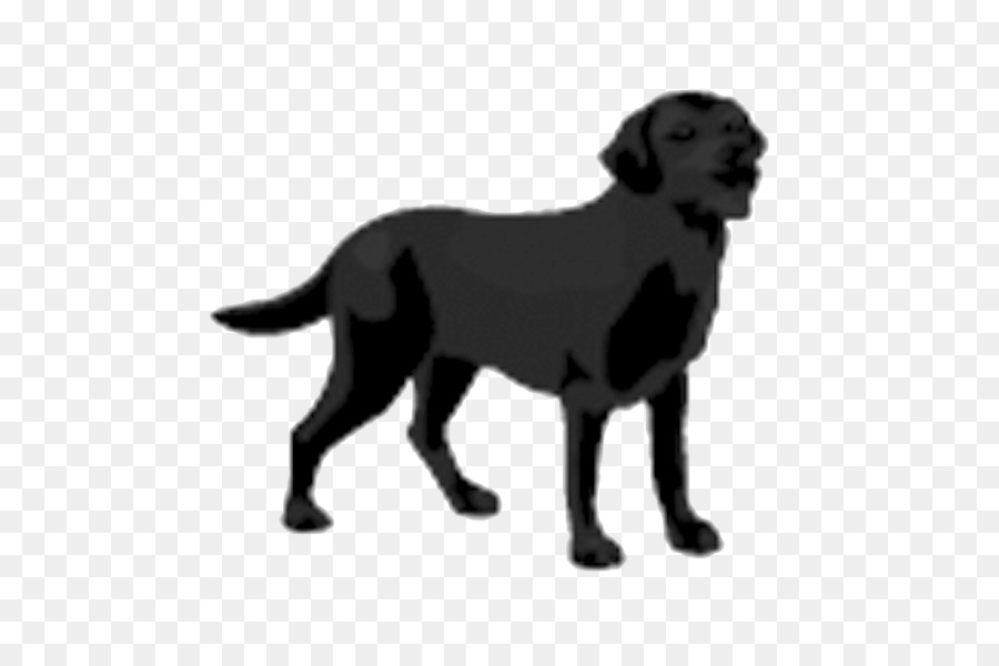 Labrador Retriever，Flatcoated Retriever PNG