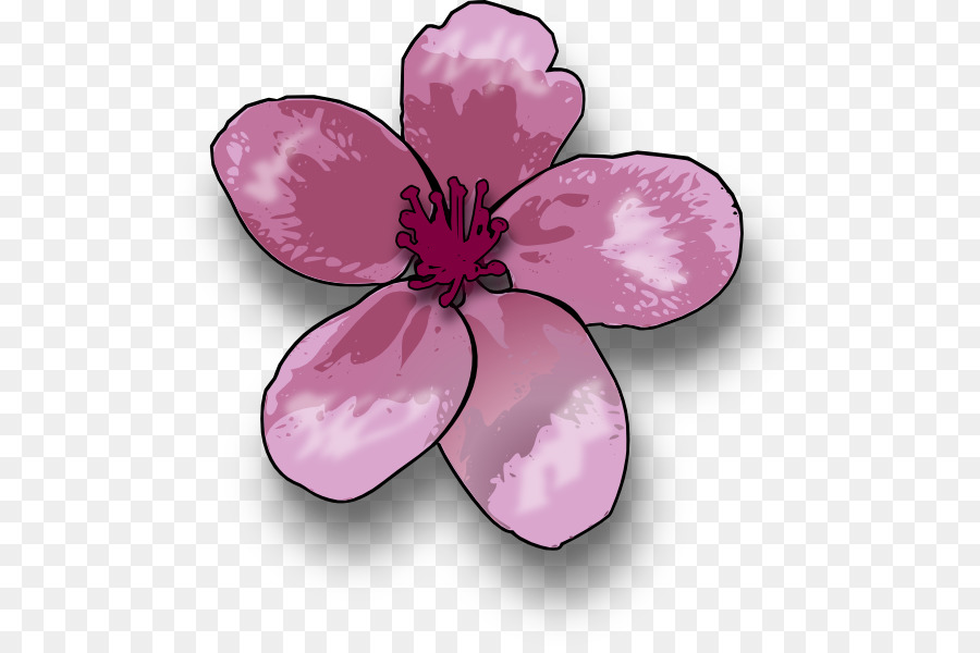 Gambar，Blossom PNG
