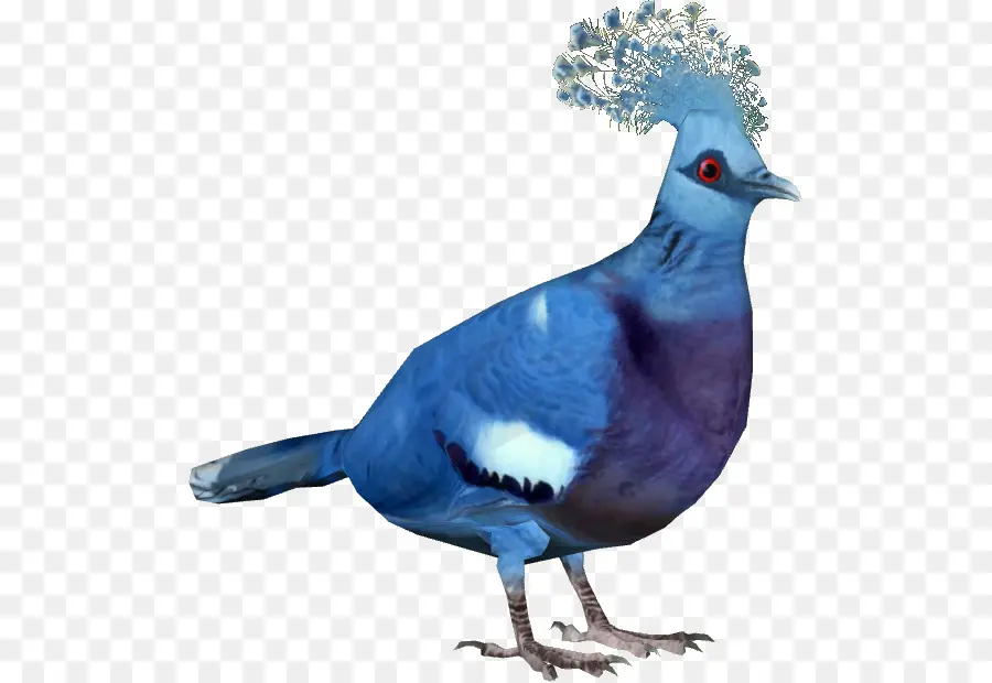 Blue Bird，Bulu PNG