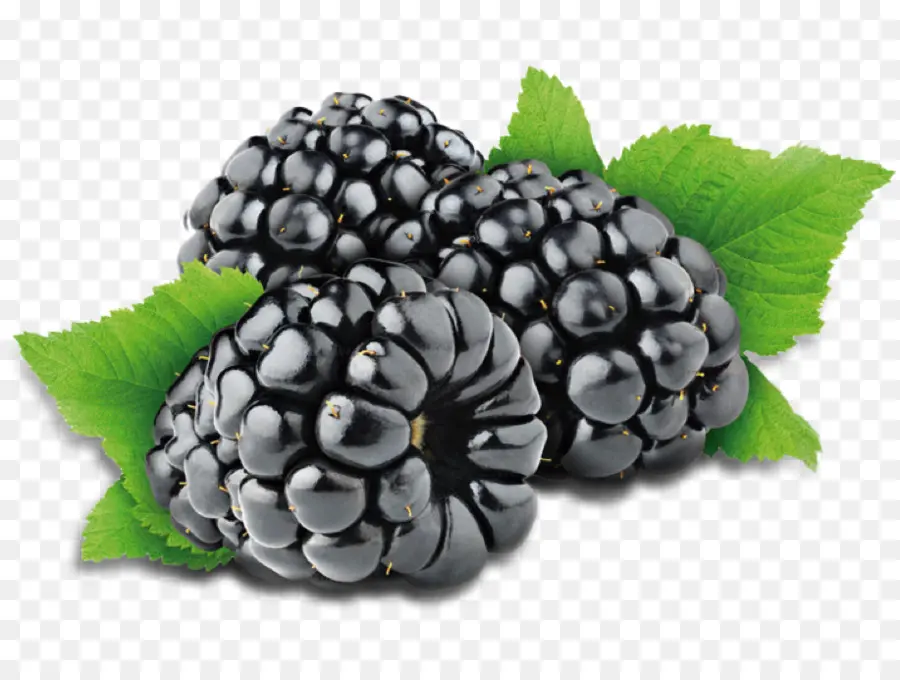 Blackberry，Buah Beri PNG