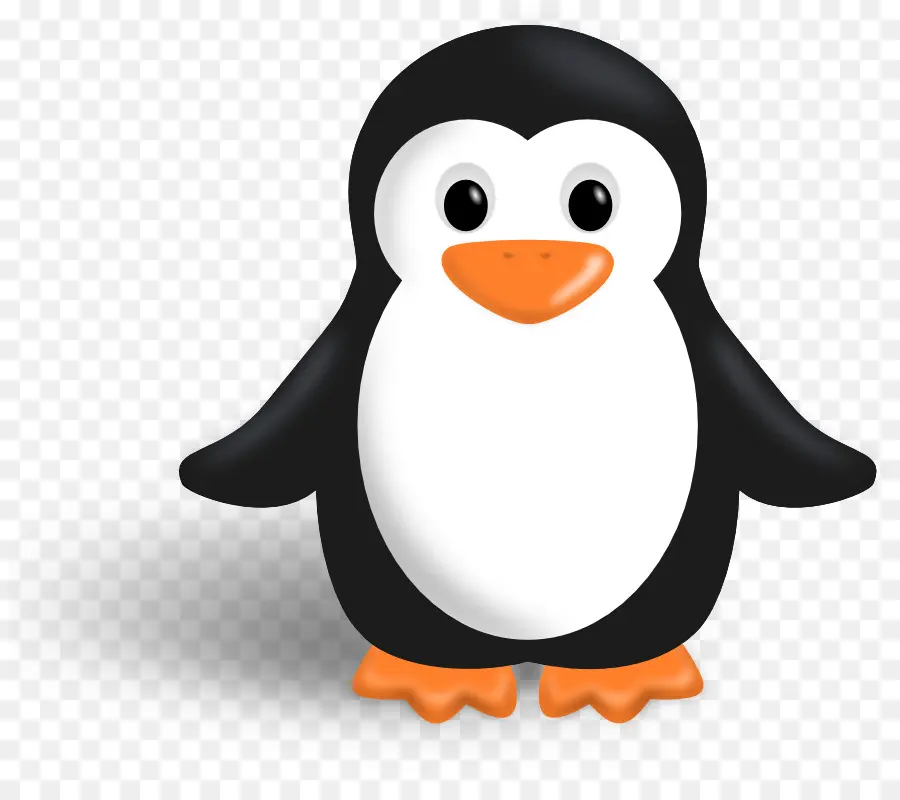 Penguin，Hitam Dan Putih PNG